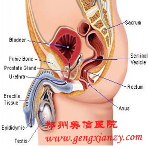 前列腺炎