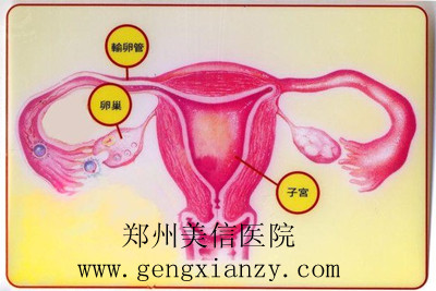 痛经
