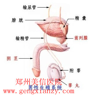 不孕不育