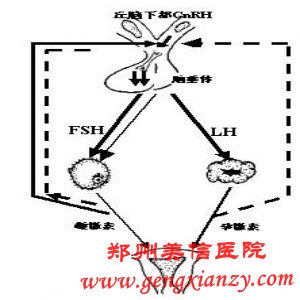 闭经