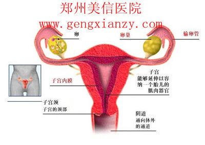 多囊卵巢