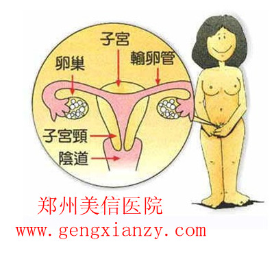 阴道炎