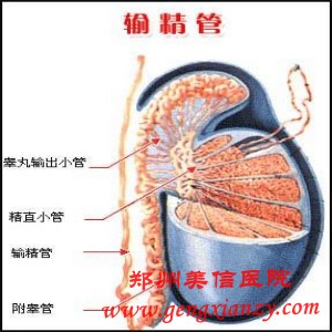 不孕不育医院