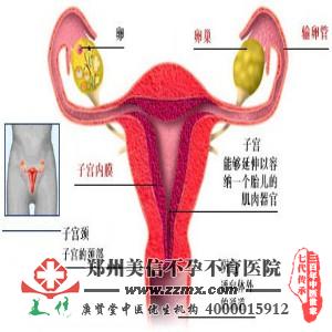 输卵管扭曲